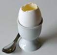 egg